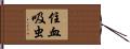 住血吸虫 Hand Scroll