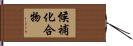 候補化合物 Hand Scroll