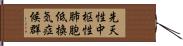 先天性中枢性肺胞低換気症候群 Hand Scroll