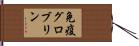 免疫グロブリン Hand Scroll