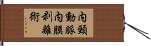 内頸動脈内膜剥離術 Hand Scroll