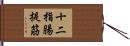 十二指腸提筋 Hand Scroll