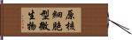 原核細胞型微生物 Hand Scroll