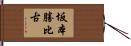 坂本勝比古 Hand Scroll