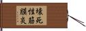 壊死性筋膜炎 Hand Scroll
