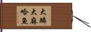 大鱗大麻哈魚 Hand Scroll