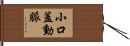 小口蓋動脈 Hand Scroll