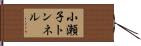 小瀬子トンネル Hand Scroll