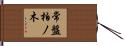 常盤柏ノ木 Hand Scroll