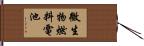 微生物燃料電池 Hand Scroll