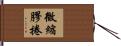 微縮膠捲 Hand Scroll