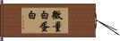 微量白蛋白 Hand Scroll