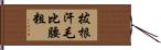 拔根汗毛比腰粗 Hand Scroll
