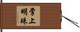 Pearl in the Palm Hand Scroll
