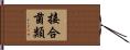 接合菌類 Hand Scroll