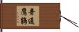 普通鷹鵑 Hand Scroll