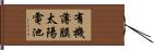 有機薄膜太陽電池 Hand Scroll