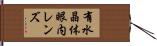有水晶体眼内レンズ Hand Scroll