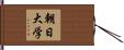 朝日大学 Hand Scroll