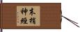 末梢神經 Hand Scroll