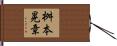 桝本晃章 Hand Scroll