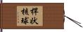 桿状核球 Hand Scroll