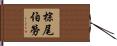 棕尾伯勞 Hand Scroll