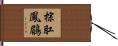 棕肛鳳鶥 Hand Scroll