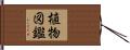 植物図鑑 Hand Scroll