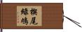 楔尾綠鳩 Hand Scroll