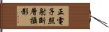 正電子照射斷層攝影 Hand Scroll