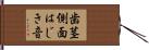 歯茎側面はじき音 Hand Scroll