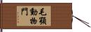 毛顎動物門 Hand Scroll