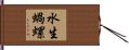水生蝸螺 Hand Scroll