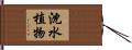 沈水植物 Hand Scroll