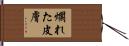 爛れた皮膚 Hand Scroll