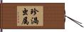珍渦虫属 Hand Scroll