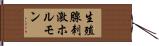 生殖腺刺激ホルモン Hand Scroll