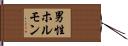男性ホルモン Hand Scroll