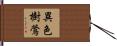 異色樹鶯 Hand Scroll