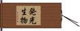 発光生物 Hand Scroll