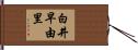 白井早由里 Hand Scroll