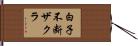 白子不断ザクラ Hand Scroll