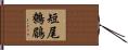 短尾鷯鶥 Hand Scroll