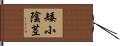 矮小陰茎 Hand Scroll