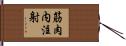 筋肉内注射 Hand Scroll