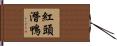 紅頭潛鴨 Hand Scroll