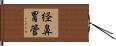 経鼻胃管 Hand Scroll