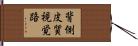 背側皮質視覚路 Hand Scroll