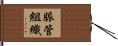 脈管組織 Hand Scroll